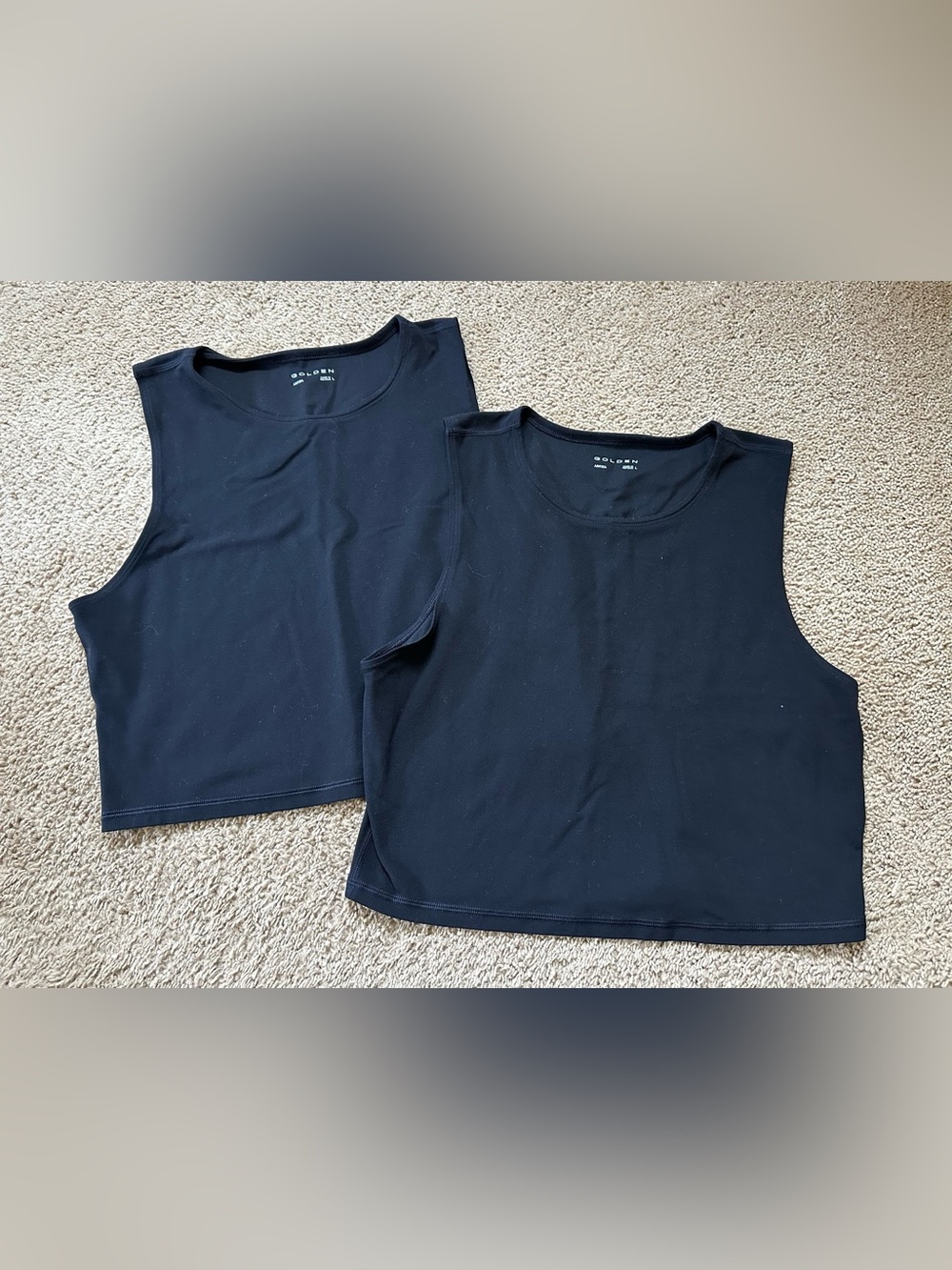 2 Aritzia Golden Black Tank Top.